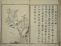 An illustration from Primer on Eight Varieties of Painting (Hasshu gafu 八集画譜) (1672)