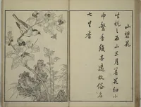 An illustration from Primer on Eight Varieties of Painting (Hasshu gafu 八集画譜) (1672)
