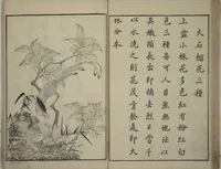 An illustration from Primer on Eight Varieties of Painting (Hasshu gafu 八集画譜) (1672)