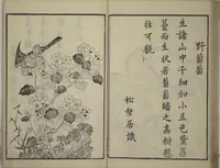 An illustration from Primer on Eight Varieties of Painting (Hasshu gafu 八集画譜) (1672)