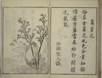 An illustration from Primer on Eight Varieties of Painting (Hasshu gafu 八集画譜) (1672)