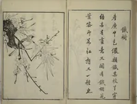 An illustration from Primer on Eight Varieties of Painting (Hasshu gafu 八集画譜) (1672)