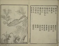 An illustration from Primer on Eight Varieties of Painting (Hasshu gafu 八集画譜) (1672)