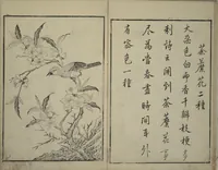 An illustration from Primer on Eight Varieties of Painting (Hasshu gafu 八集画譜) (1672)