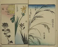 Picture 5 of 12 from Picture Book for the Practice of Drawing (Ehon tebikigusa 絵本手引草) (1849), leaf 12