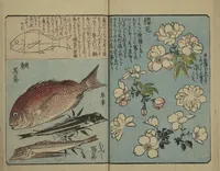 Picture 6 of 12 from Picture Book for the Practice of Drawing (Ehon tebikigusa 絵本手引草) (1849), leaf 13