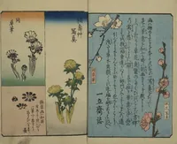 An illustration from Picture Book for the Practice of Drawing (Ehon tebikigusa 絵本手引草) (1849)