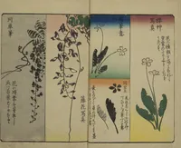 An illustration from Picture Book for the Practice of Drawing (Ehon tebikigusa 絵本手引草) (1849)