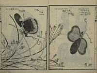 An illustration from Ideas for Various Things of the Seasons (Shiki Tsukurimono shukō no tane 四季造物趣向種) : [volume 2] (1837)
