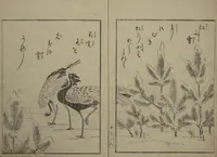 An illustration from Picture Book of the Eternal Pines (Ehon chiyo no matsu 絵本千代の松) : [volume 3] (1767)