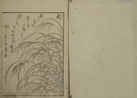 An illustration from Picture Book of the Eternal Pines (Ehon chiyo no matsu 絵本千代の松) : [volume 3] (1767)