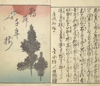 An illustration from Picture Book of the Souvenirs of Edo (Ehon Edo miyage 絵本江戸土産) : [volume 01] (1850)