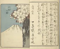 An illustration from Picture Book of the Souvenirs of Edo (Ehon Edo miyage 絵本江戸土産) : [volume 04] (1850)