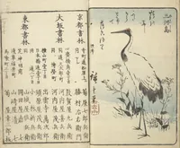 An illustration from Picture Book of the Souvenirs of Edo (Ehon Edo miyage 絵本江戸土産) : [volume 05] (1850)