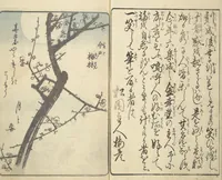 An illustration from Picture Book of the Souvenirs of Edo (Ehon Edo miyage 絵本江戸土産) : [volume 06] (1850)