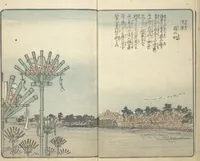 An illustration from Picture Book of the Souvenirs of Edo (Ehon Edo miyage 絵本江戸土産) : [volume 06] (1850)