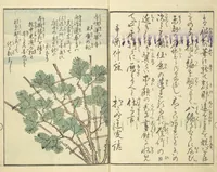 Picture 2 of 16 from Picture Book of the Souvenirs of Edo (Ehon Edo miyage 絵本江戸土産) : [volume 08] (1861), leaf 3