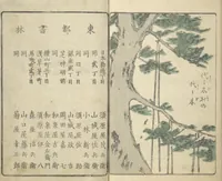 An illustration from Picture Book of the Souvenirs of Edo (Ehon Edo miyage 絵本江戸土産) : [volume 09] (1864)