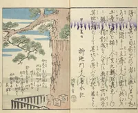 An illustration from Picture Book of the Souvenirs of Edo (Ehon Edo miyage 絵本江戸土産) : [volume 09] (1864)