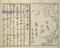 An illustration from Picture Book of the Souvenirs of Edo (Ehon Edo miyage 絵本江戸土産) : [volume 10] (1867)
