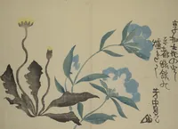 An illustration from Kōrin Picture Album (Kōrin gafu 光琳画譜) : [volume 2]