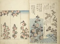 An illustration from Traces of Kenzan's Brush (Kenzan iboku 乾山遺墨) (1823)