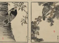 Picture 9 of 20 from Bairei Picture Album of One Hundred Birds (Bairei hyakuchō gafu 楳嶺百鳥畫譜) : [volume 3] (1881), leaf 10
