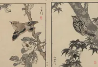 An illustration from Bairei Picture Album of One Hundred Birds (Bairei hyakuchō gafu 楳嶺百鳥畫譜) : [volume 3] (1881)