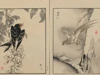 Picture 11 of 20 from Bairei Picture Album of One Hundred Birds (Bairei hyakuchō gafu 楳嶺百鳥畫譜) : [volume 3] (1881), leaf 12