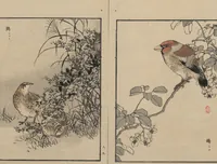 An illustration from Bairei Picture Album of One Hundred Birds (Bairei hyakuchō gafu 楳嶺百鳥畫譜) : [volume 3] (1881)