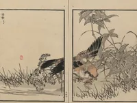 Picture 14 of 20 from Bairei Picture Album of One Hundred Birds (Bairei hyakuchō gafu 楳嶺百鳥畫譜) : [volume 3] (1881), leaf 16