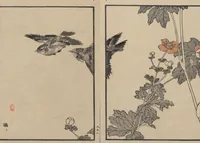 An illustration from Bairei Picture Album of One Hundred Birds (Bairei hyakuchō gafu 楳嶺百鳥畫譜) : [volume 3] (1881)