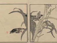 An illustration from Bairei Picture Album of One Hundred Birds (Bairei hyakuchō gafu 楳嶺百鳥畫譜) : [volume 3] (1881)