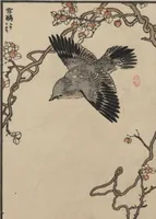An illustration from Bairei Picture Album of One Hundred Birds (Bairei hyakuchō gafu 楳嶺百鳥畫譜) : [volume 3] (1881)