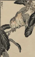 An illustration from Bairei Picture Album of One Hundred Birds (Bairei hyakuchō gafu 楳嶺百鳥畫譜) : [volume 3] (1881)