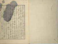 An illustration from An Illustrated New Edition of Suikoden (The Water Margin) (Shinpen suiko gaden 新編水滸画伝) (1805)