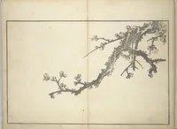 An illustration from A Realistic Sketchbook by Hokusai (Hokusai shashin gafu 北斎写真画譜) (1814)
