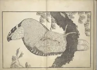 Picture 9 of 10 from A Realistic Sketchbook by Hokusai (Hokusai shashin gafu 北斎写真画譜) (1814), leaf 15