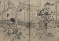 An illustration from One Hundred Women Classified According to Their Rank (Hyakunin joro shinasadame 百人女郎品定) : [volume 2] (1723)