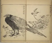 An illustration from Kan'yōsai Picture Album (Kan'yōsai gafu) (1762)