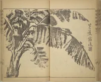 An illustration from Kan'yōsai Picture Album (Kan'yōsai gafu) (1762)