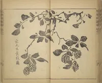 An illustration from Kan'yōsai Picture Album (Kan'yōsai gafu) (1762)