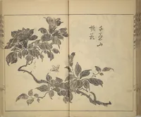 An illustration from Kan'yōsai Picture Album (Kan'yōsai gafu) (1762)