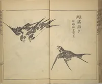 An illustration from Kan'yōsai Picture Album (Kan'yōsai gafu) (1762)