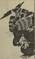 An illustration from Kan'yōsai Picture Album (Kan'yōsai gafu 寒葉斎画譜) : [volume 1] (1762)
