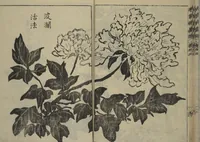 An illustration from Kan'yōsai Picture Album (Kan'yōsai gafu 寒葉斎画譜) : [volume 3] (1762)