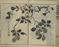 An illustration from Kan'yōsai Picture Album (Kan'yōsai gafu 寒葉斎画譜) : [volume 2] (1762)