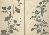 An illustration from Rough Sketches by Hokusai: Cursive Drawings Section (Hokusai Manga: Sōhitsu-no-bu 北斎漫画草筆之部) (1843)