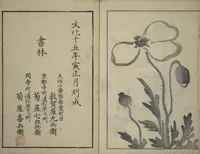 An illustration from Kōrin's painting style (Kōrin gashiki) (1818)