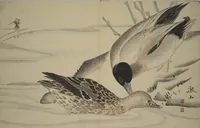 An illustration from Album of the Phoenix Bird (Ranpō jō) (1806)